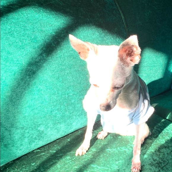 Meet your Posher, Jud - Picture 12 of 14